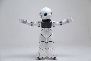 搶錢時機 國家重拳出擊，撥6億推動智能機器人市場研發騰飛